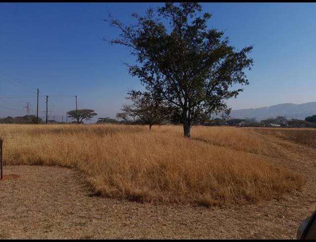 LAND FOR SALE IN BUNDU WILDLIFE ESTATE
